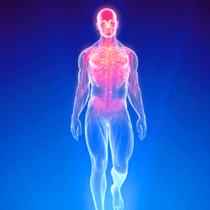 Blue illustration of human body with head and upper body in red