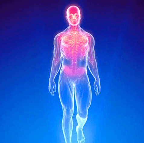 Blue illustration of human body with head and upper body in red