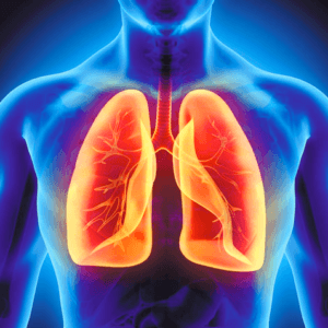 Blue illustration of human body interior with lungs and airway in red and orange