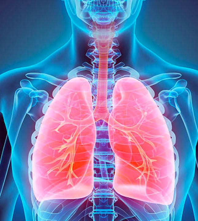 Blue and red lung CT Scan illustration