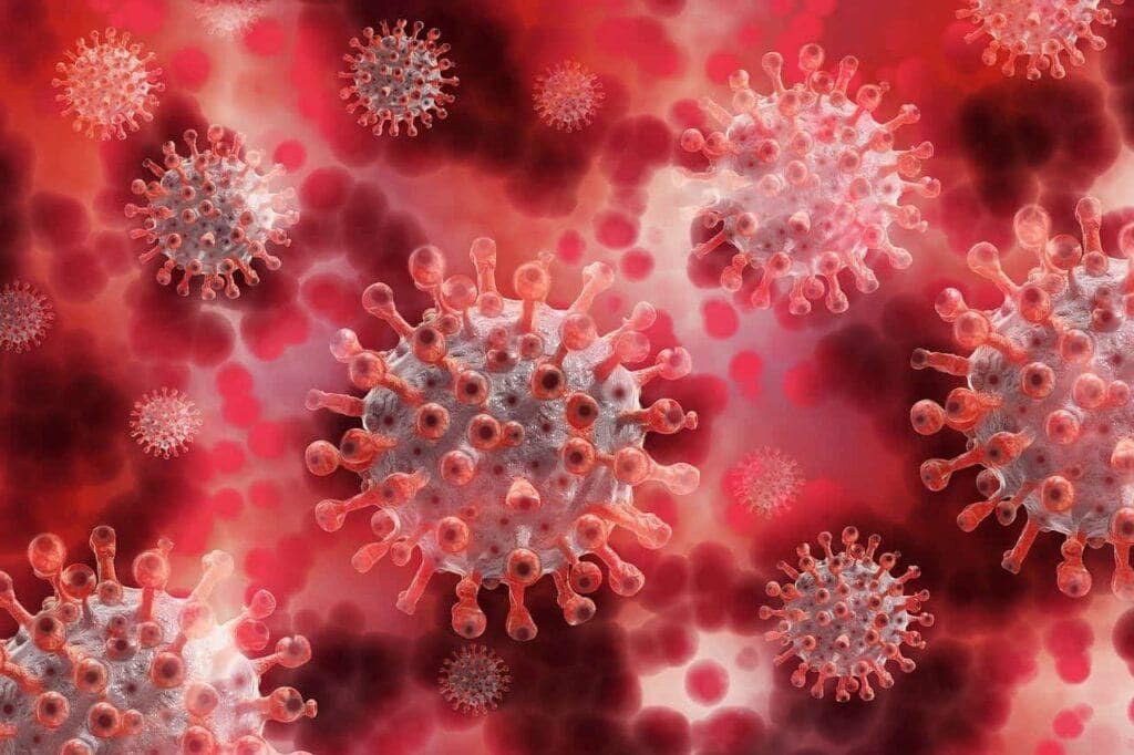 Coronavirus-1024×682-Min Coronavirus 1024X682 Min