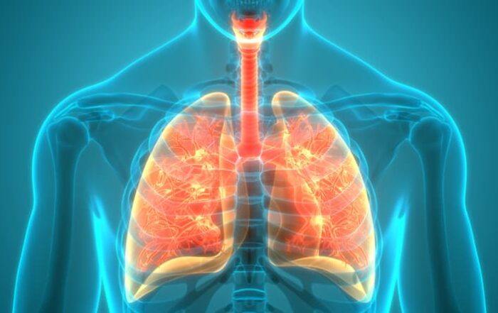 Illustration of human respiratory system