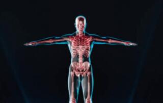 illustration of full body medical scan