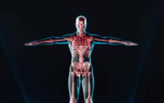 Illustration Of Full Body Medical Scan