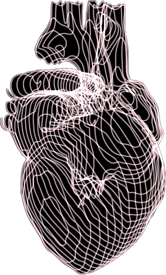 Heart Heart