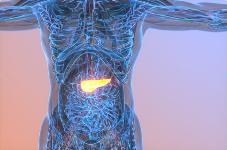 How Do You Detect Pancreatic Cancer Early?
