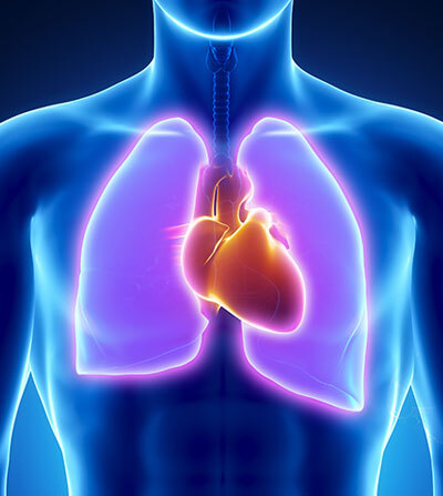 260112-Pdc-Heartandlungsimg4346238173 260112 Pdc Heartandlungsimg4346238173