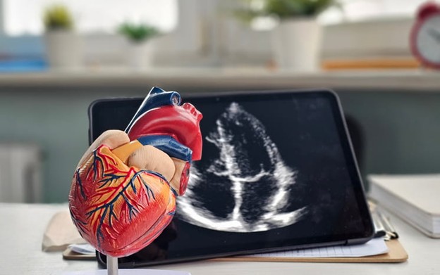 Pdc Home 2 A Model Of A Human Heart With An Echocardiogram Displayed On A Tablet.