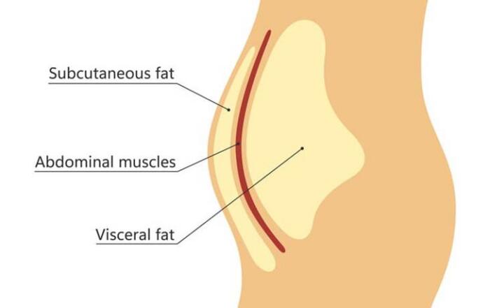 Blog 5 A Graphic Showing Different Types Of Fat.